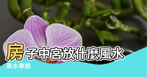 中宮 風水|風水中宮怎麼擺置？全面解析風水中最重要的方位【風水 中宮 怎。